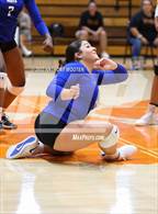 Photo from the gallery "Scotland @ South View"