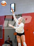 Photo from the gallery "Scotland @ South View"