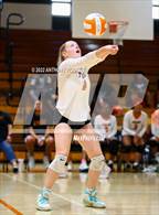 Photo from the gallery "Scotland @ South View"