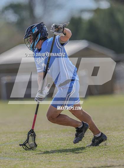 Thumbnail 1 in Hoggard @ Croatan photogallery.
