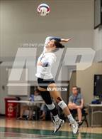 Photo from the gallery "Legacy @ Fossil Ridge"