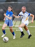 Photo from the gallery "Bloomfield @ St. Michael's"