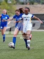 Photo from the gallery "Bloomfield @ St. Michael's"