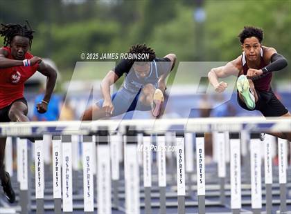 Thumbnail 1 in FHSAA 4A Finals (100 Meter Hurdles) photogallery.