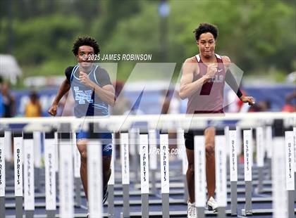 Thumbnail 2 in FHSAA 4A Finals (100 Meter Hurdles) photogallery.