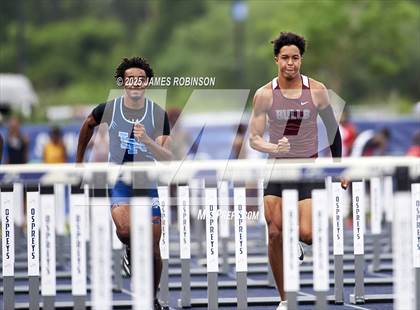 Thumbnail 2 in FHSAA 4A Finals (100 Meter Hurdles) photogallery.