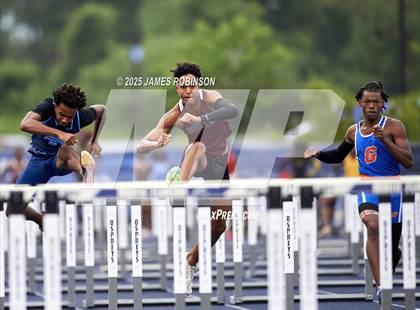 Thumbnail 3 in FHSAA 4A Finals (100 Meter Hurdles) photogallery.