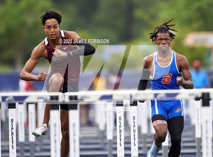 Thumbnail 2 in FHSAA 4A Finals (100 Meter Hurdles) photogallery.