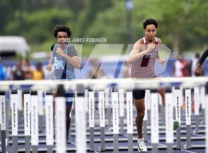 Thumbnail 2 in FHSAA 4A Finals (100 Meter Hurdles) photogallery.