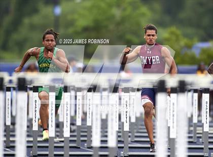 Thumbnail 1 in FHSAA 4A Finals (100 Meter Hurdles) photogallery.