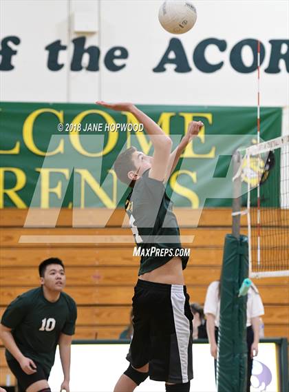 Thumbnail 2 in James Lick @ Live Oak photogallery.