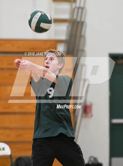 Thumbnail 1 in James Lick @ Live Oak photogallery.