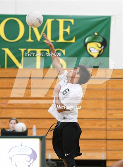 Thumbnail 2 in James Lick @ Live Oak photogallery.