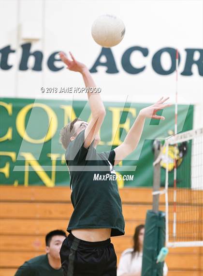 Thumbnail 1 in James Lick @ Live Oak photogallery.