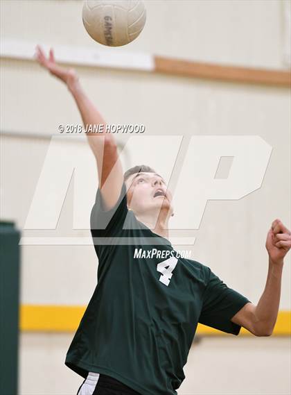 Thumbnail 1 in James Lick @ Live Oak photogallery.
