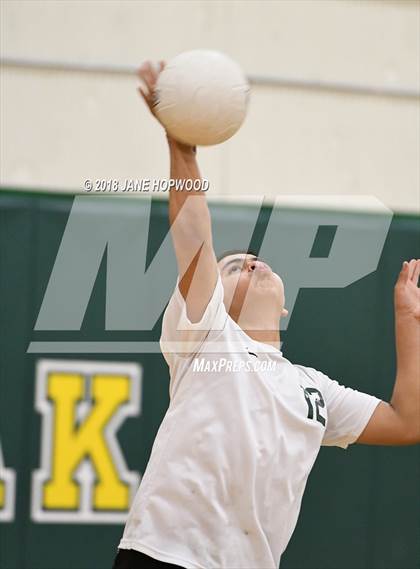 Thumbnail 1 in James Lick @ Live Oak photogallery.