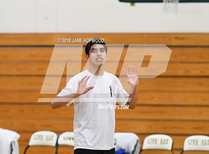 Thumbnail 1 in James Lick @ Live Oak photogallery.