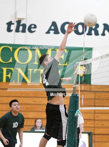 Thumbnail 3 in James Lick @ Live Oak photogallery.