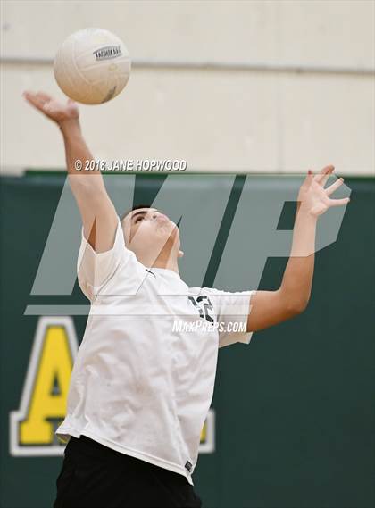 Thumbnail 1 in James Lick @ Live Oak photogallery.