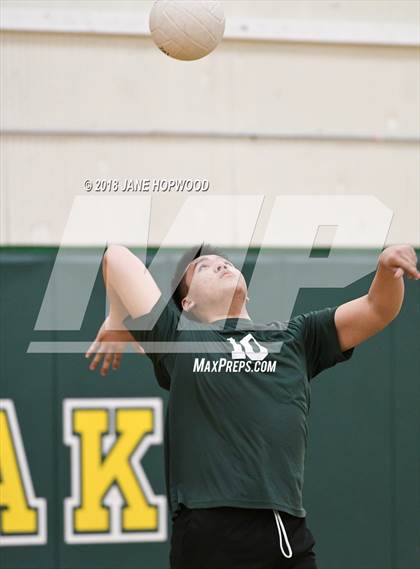 Thumbnail 2 in James Lick @ Live Oak photogallery.