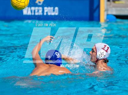 Thumbnail 3 in Esperanza @ Valencia photogallery.