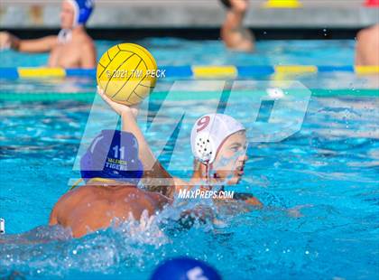 Thumbnail 3 in Esperanza @ Valencia photogallery.