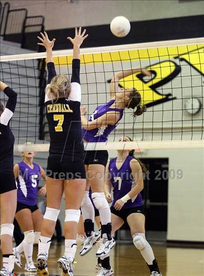 Thumbnail 3 in Alvarado @ Crandall photogallery.