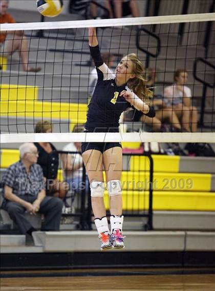 Thumbnail 3 in Alvarado @ Crandall photogallery.