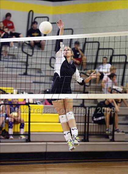 Thumbnail 2 in Alvarado @ Crandall photogallery.