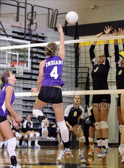 Thumbnail 3 in Alvarado @ Crandall photogallery.