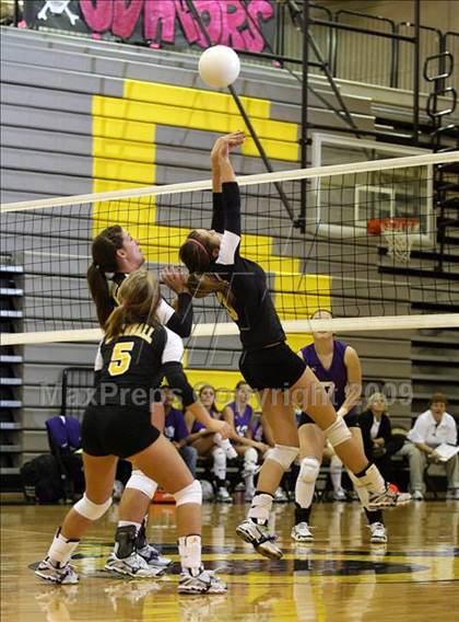 Thumbnail 1 in Alvarado @ Crandall photogallery.