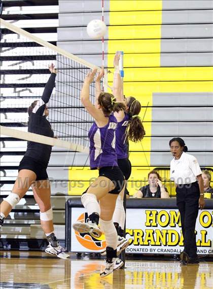 Thumbnail 3 in Alvarado @ Crandall photogallery.