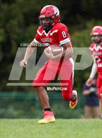 Photo from the gallery "Dansville/Wayland-Cohocton @ Palmyra-Macedon"