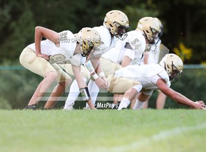 Thumbnail 1 in Dansville/Wayland-Cohocton @ Palmyra-Macedon photogallery.