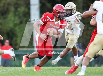Thumbnail 3 in Dansville/Wayland-Cohocton @ Palmyra-Macedon photogallery.