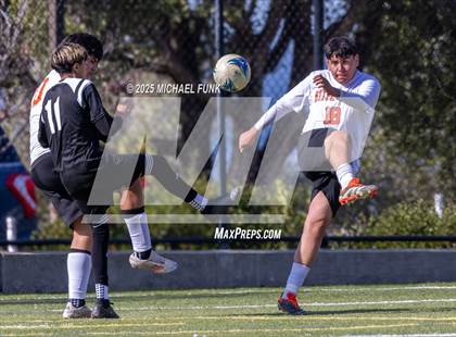 Thumbnail 2 in Kelseyville @ Roseland University Prep photogallery.