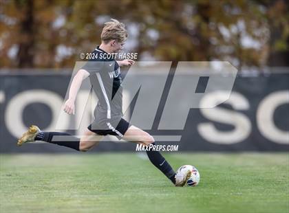 Thumbnail 1 in Williamston vs. Grosse Ile (MHSAA D3 Reg Semifinal) photogallery.
