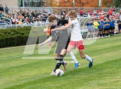 Thumbnail 1 in Williamston vs. Grosse Ile (MHSAA D3 Reg Semifinal) photogallery.