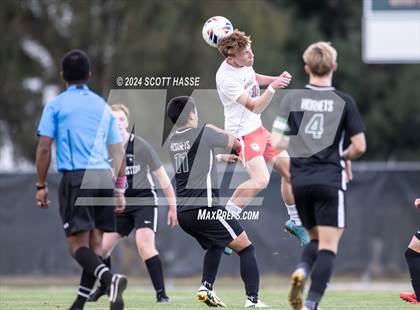 Thumbnail 3 in Williamston vs. Grosse Ile (MHSAA D3 Reg Semifinal) photogallery.