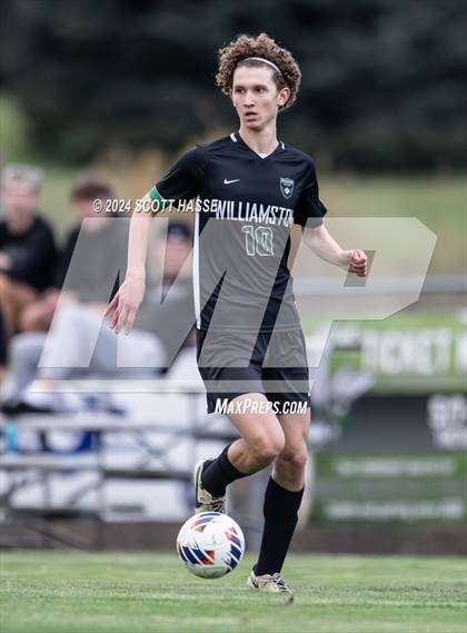 Thumbnail 1 in Williamston vs. Grosse Ile (MHSAA D3 Reg Semifinal) photogallery.