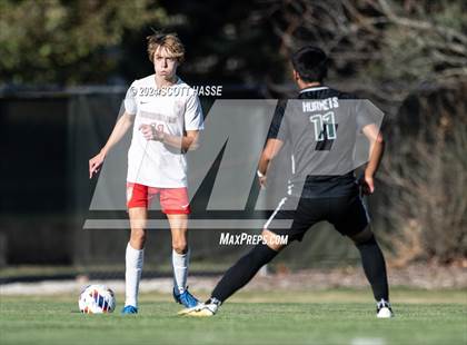 Thumbnail 1 in Williamston vs. Grosse Ile (MHSAA D3 Reg Semifinal) photogallery.