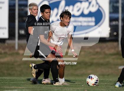 Thumbnail 1 in Williamston vs. Grosse Ile (MHSAA D3 Reg Semifinal) photogallery.