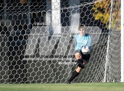 Thumbnail 1 in Williamston vs. Grosse Ile (MHSAA D3 Reg Semifinal) photogallery.