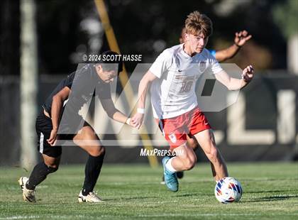 Thumbnail 3 in Williamston vs. Grosse Ile (MHSAA D3 Reg Semifinal) photogallery.