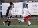 Photo from the gallery "Williamston vs. Grosse Ile (MHSAA D3 Reg Semifinal)"