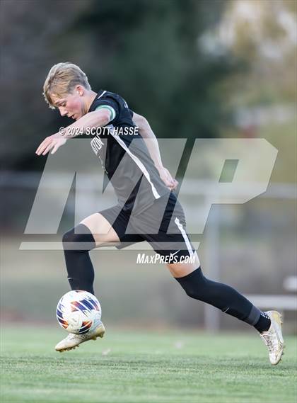 Thumbnail 1 in Williamston vs. Grosse Ile (MHSAA D3 Reg Semifinal) photogallery.