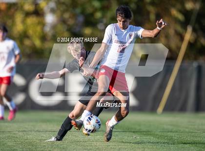 Thumbnail 1 in Williamston vs. Grosse Ile (MHSAA D3 Reg Semifinal) photogallery.