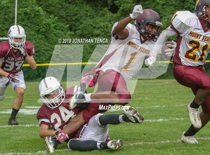 Thumbnail 2 in Mt. Vernon @ Scarsdale photogallery.