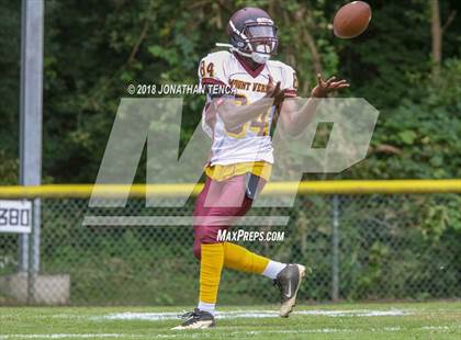 Thumbnail 1 in Mt. Vernon @ Scarsdale photogallery.