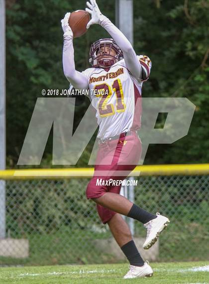 Thumbnail 1 in Mt. Vernon @ Scarsdale photogallery.